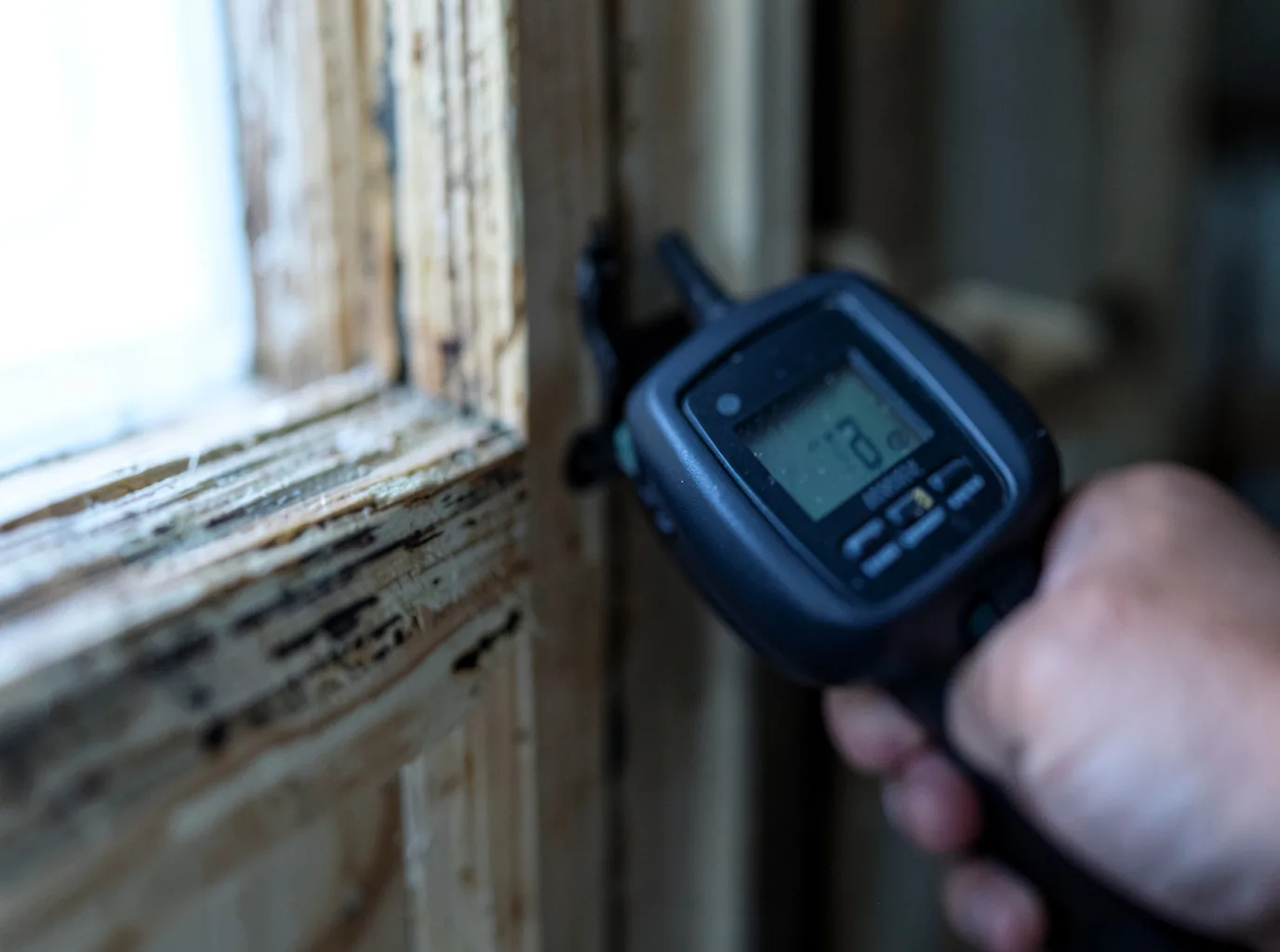 Moisture Inspection And Documentation in Seal Harbor, ME